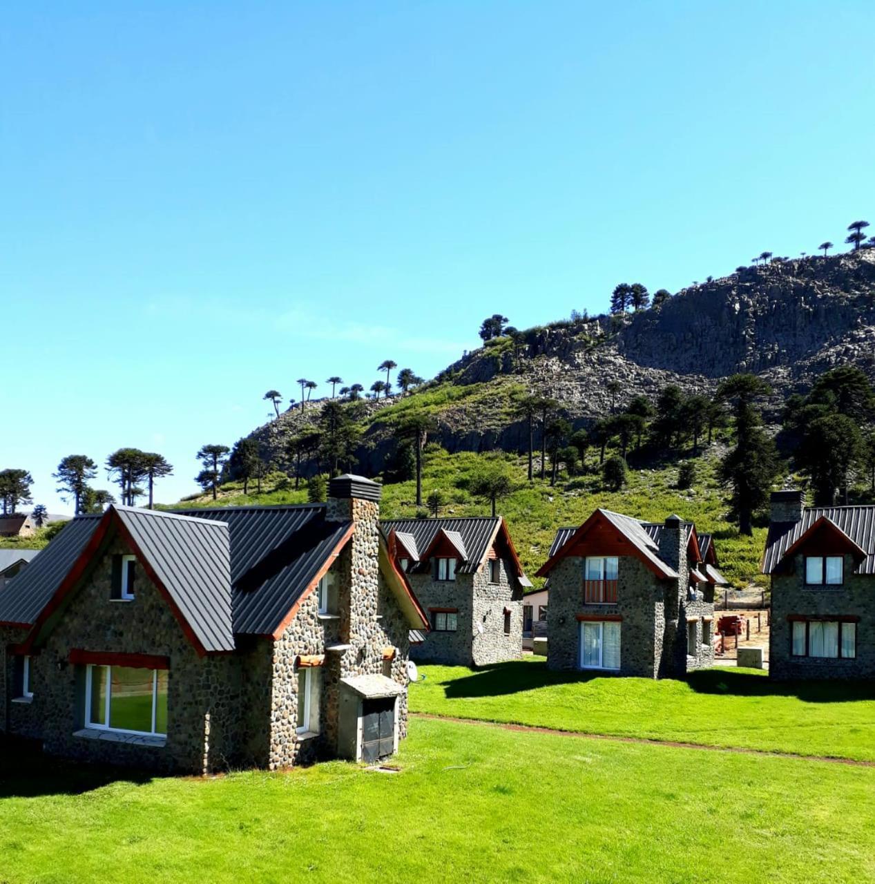 Cabanas Patagonia Village 卡薇亚惠 外观 照片
